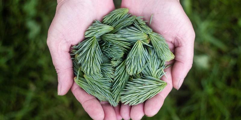 ITTA旅游59：在禅意旅行中重启心灵，重新定义出境游的深层意义