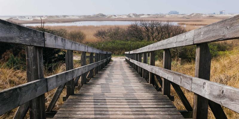 ITTA旅游90：解锁海外旅行的全新高端体验与超值套餐