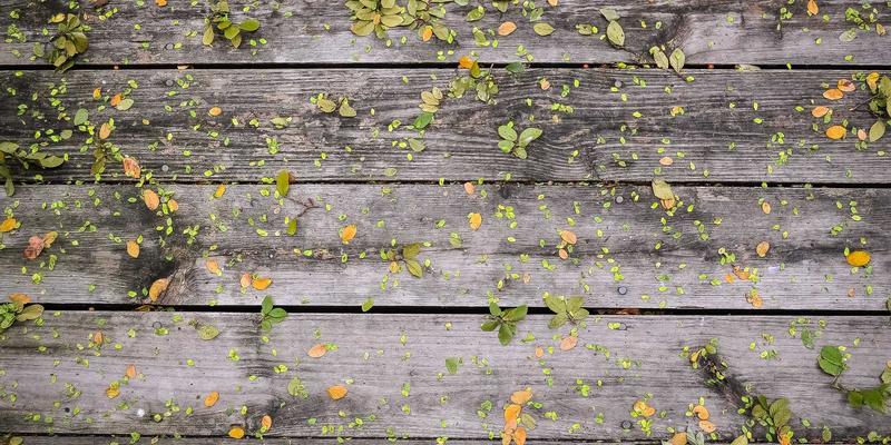 ITTA旅游92：以禅意之心，重塑出境游的深度体验