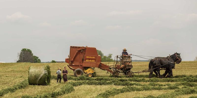 ITTA旅游入门：解锁自由行与海外旅行的智慧，如何选择最适合你的旅游套餐