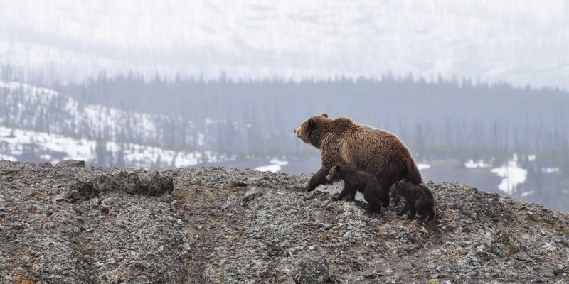ITTA旅游新浪潮：在城市周边开启微冒险，重新定义自由行与出境游