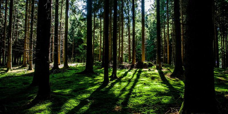 ITTA智能推荐引擎：如何为自由行匹配禅意旅行与个性旅游套餐