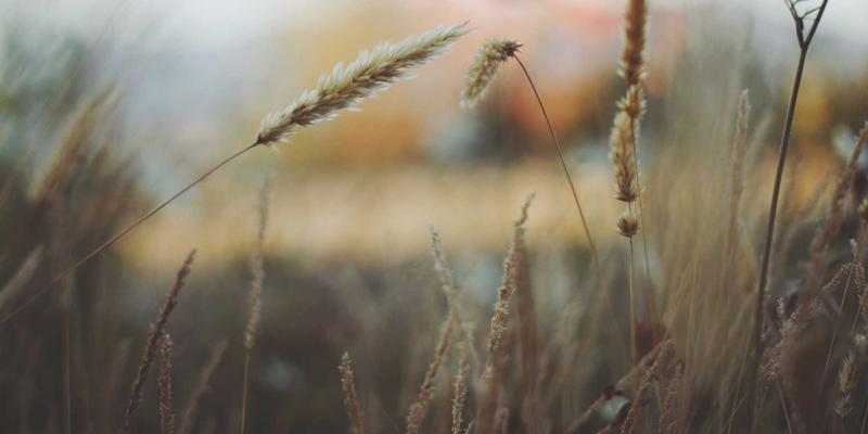 ITTA禅意旅行攻略：解锁自由行与定制套餐的平衡艺术