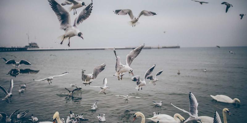 出境游新趋势：ITTA旅游套餐如何用深度社交设计疗愈单身旅行者的孤独感