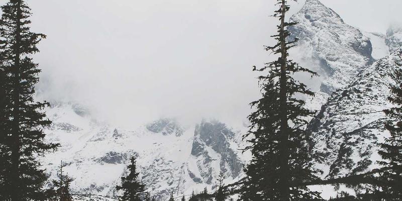 基于ITTA旅行者行为数据：后疫情时代家庭亲子游的五大新趋势与禅意旅行启示