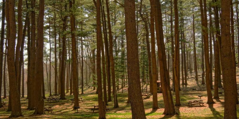 禅意旅行新选择：适合ITTA旅游的十大国内外小众目的地推荐