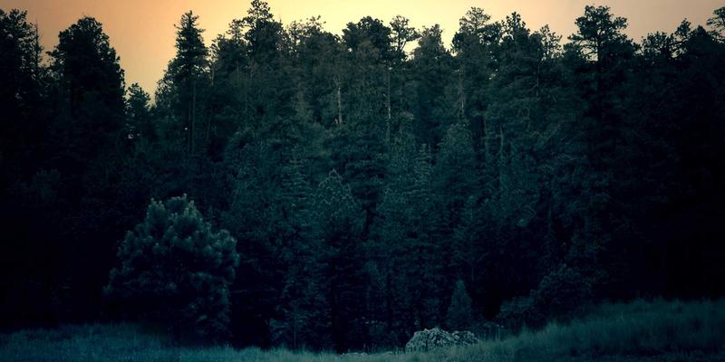 自由行与出境游新挑战：如何在海外旅行中平衡个性化推荐与隐私安全