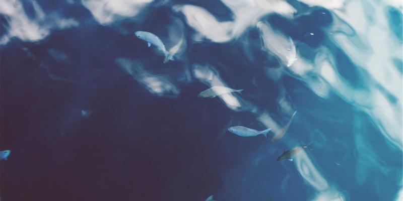 解密ITTA旅游的本地专家网络：如何为自由行注入禅意旅行的灵魂